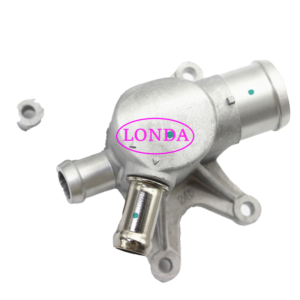 C00084095 Thermostat Assembly for Maxus T60